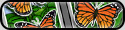 Play Butterfly Net Play Butterfly Net